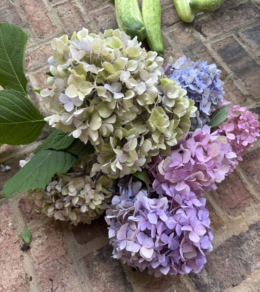 fresh flower wreath